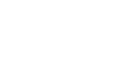 VESSO logo